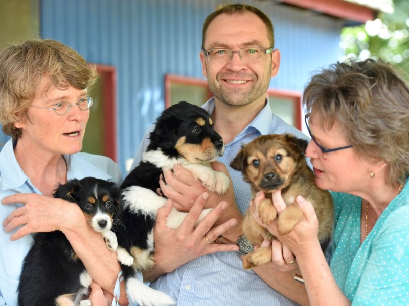 Tierheim Duisburg Hundewelpen.jpg