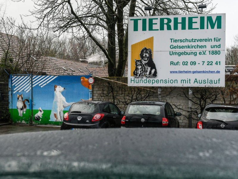 Tierheim-Gelsenkirchen.JPG