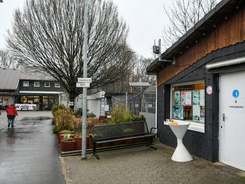 Tierheim Gelsenkirchen.JPG