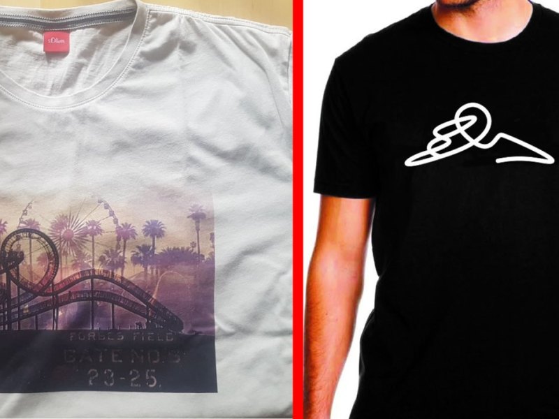 Tiger and turtle-2.jpg