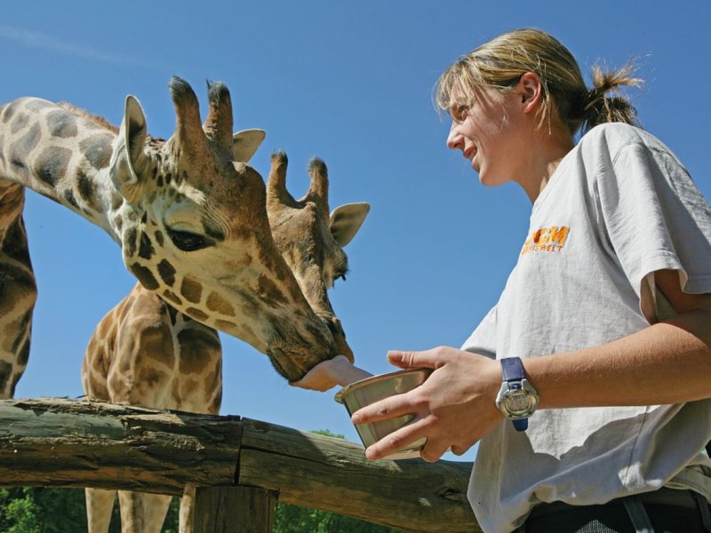 ZOOM Erlebniswelt_Schnupperkurs Tierpfleger.jpg