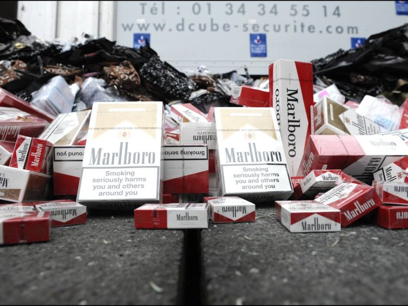 Zig in mago54858977h.jpg