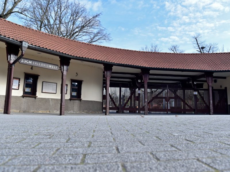 Zoom Gelsenkirchen.jpg