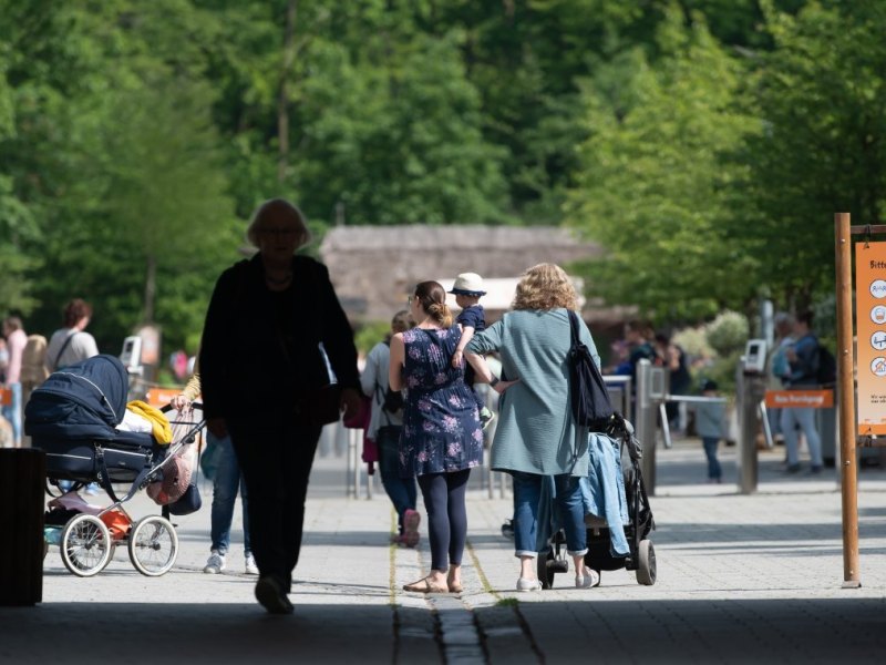 Zoom Gelsenkirchen  .jpeg