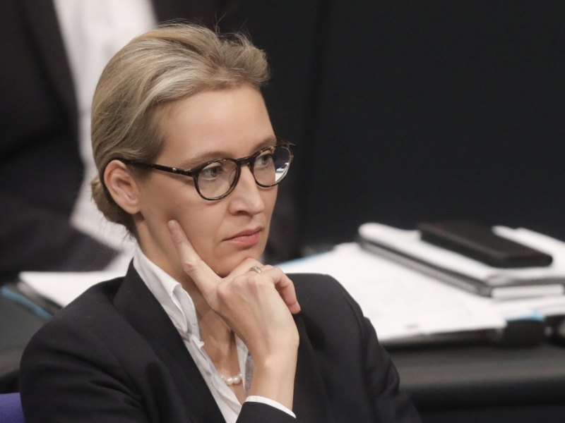 alice-weidel.jpg