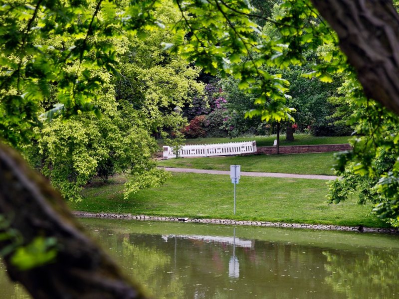 bochum-stadtpark.jpg