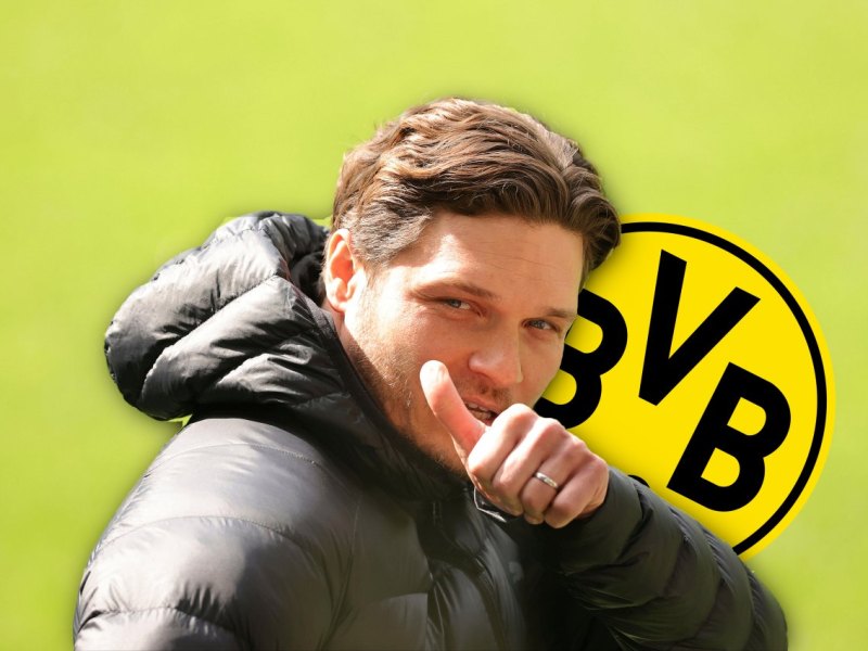 borussia-dortmund-terzic.jpg