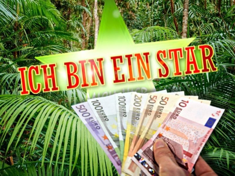 Das Logo des Dschungelcamps und eine Hand mit Geldscheinen.