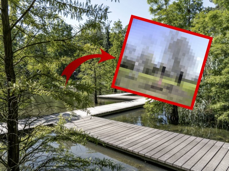 essen gruga baum.jpg