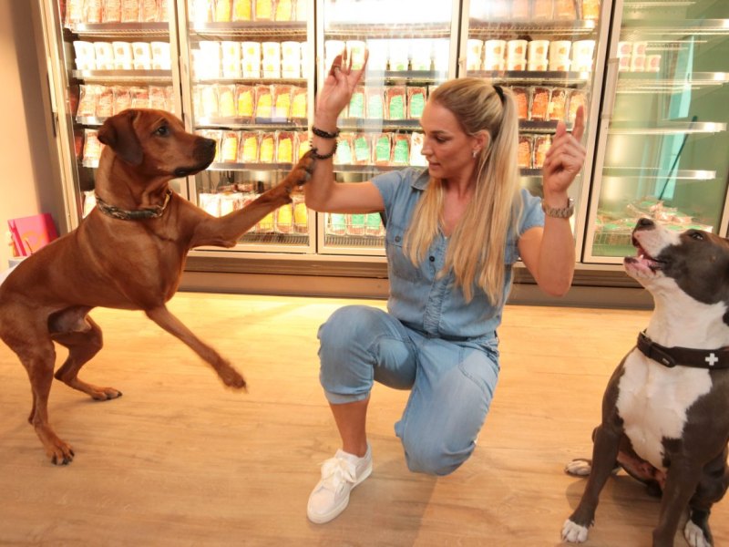 hunde-supermarkt-essen.JPG