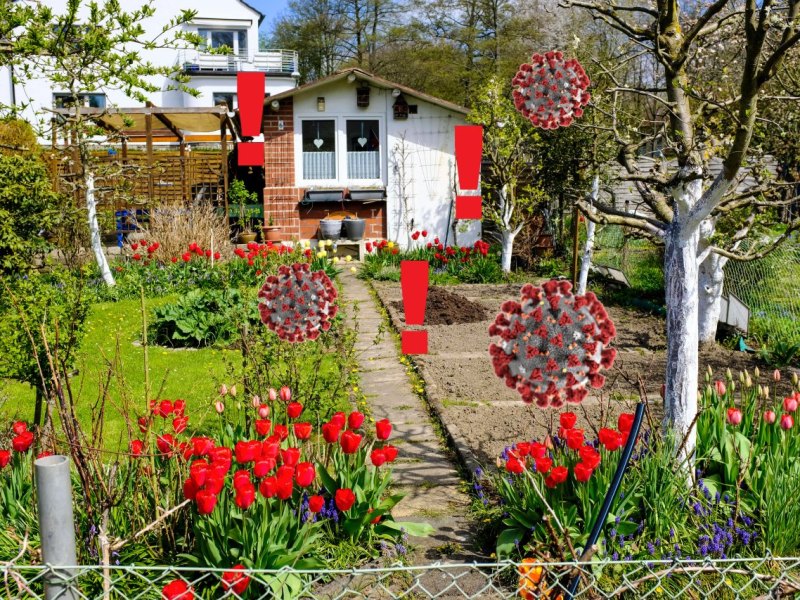 kleingarten-essen-huttrop.corona.jpg