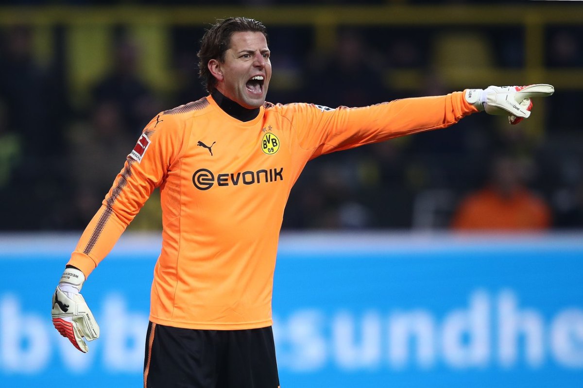 roman weidenfeller bvb borussia dortmund