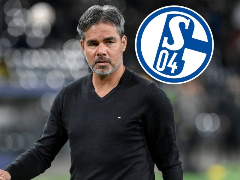 schalke-david-wagner