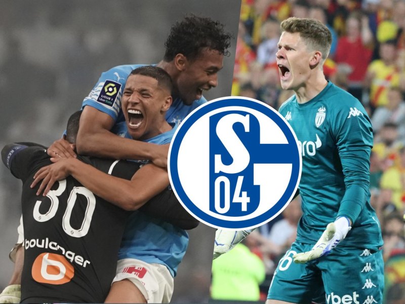 schalke-nuebel-harit.jpg