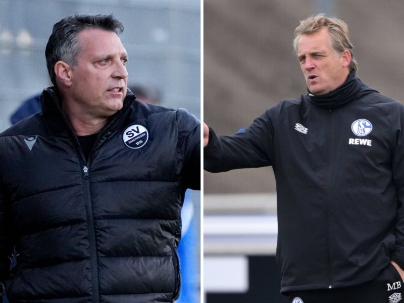 sv sandhausen fc schalke 04.jpg