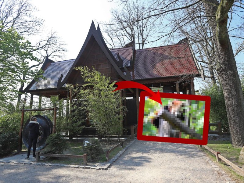 zoom gelsenkirchen2.jpg