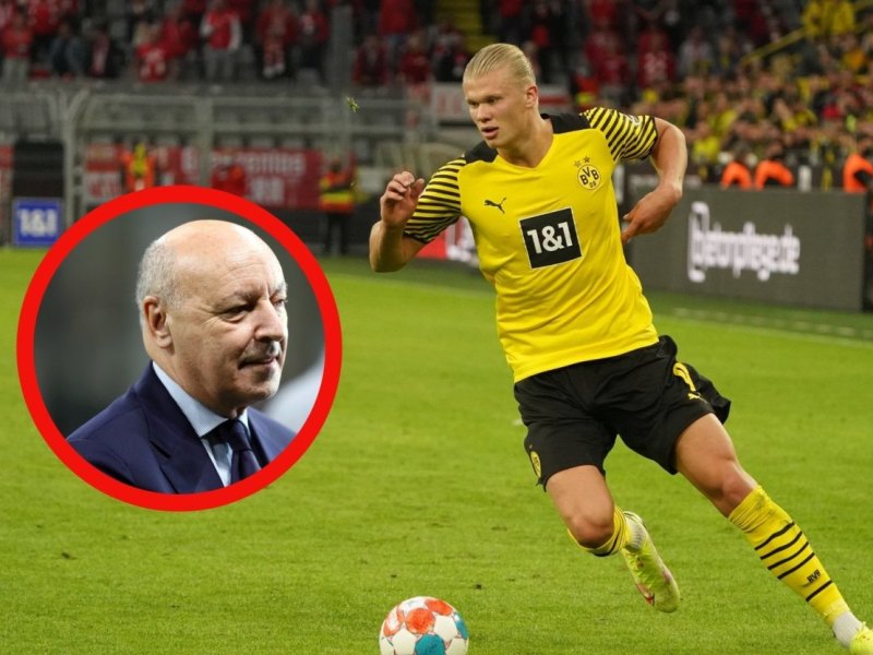 BVB Erling Haaland.jpg