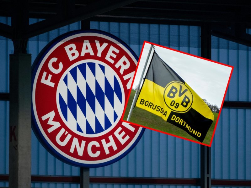 BVB FC Bayern.jpg