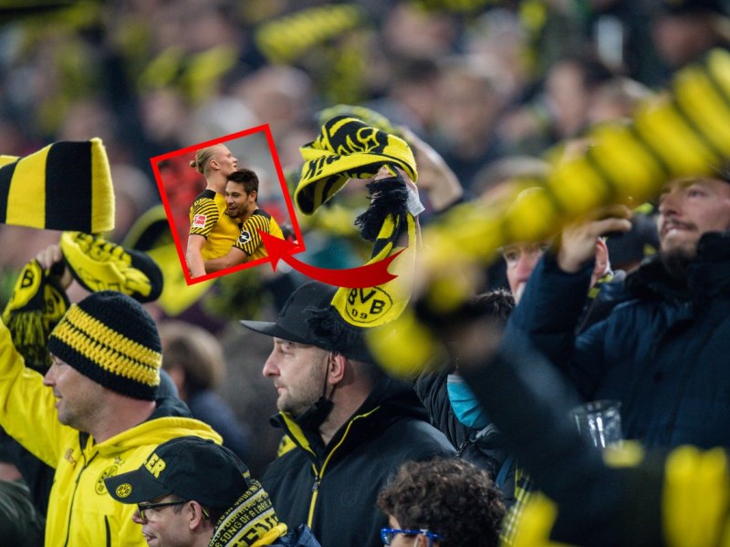 BVB Raphael Guerreiro.jpg