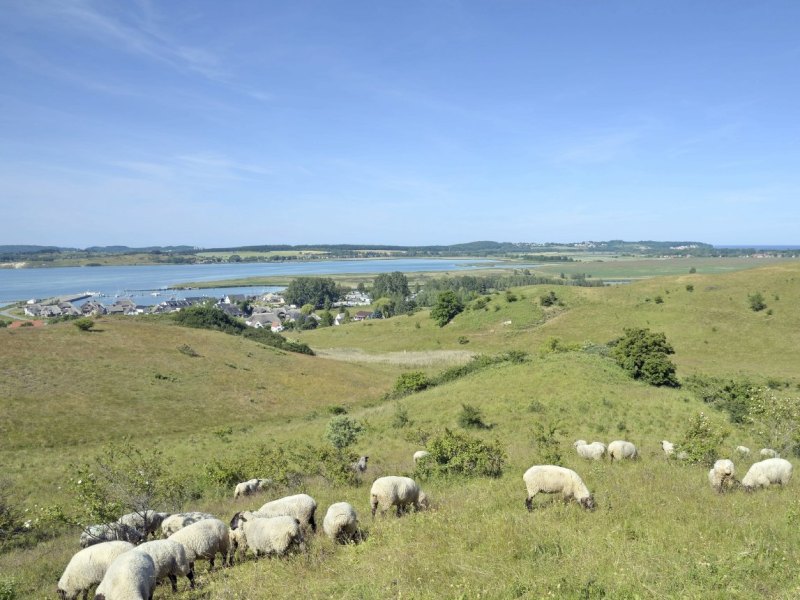 Biosphären-Reservat Südost-Rügen.jpg