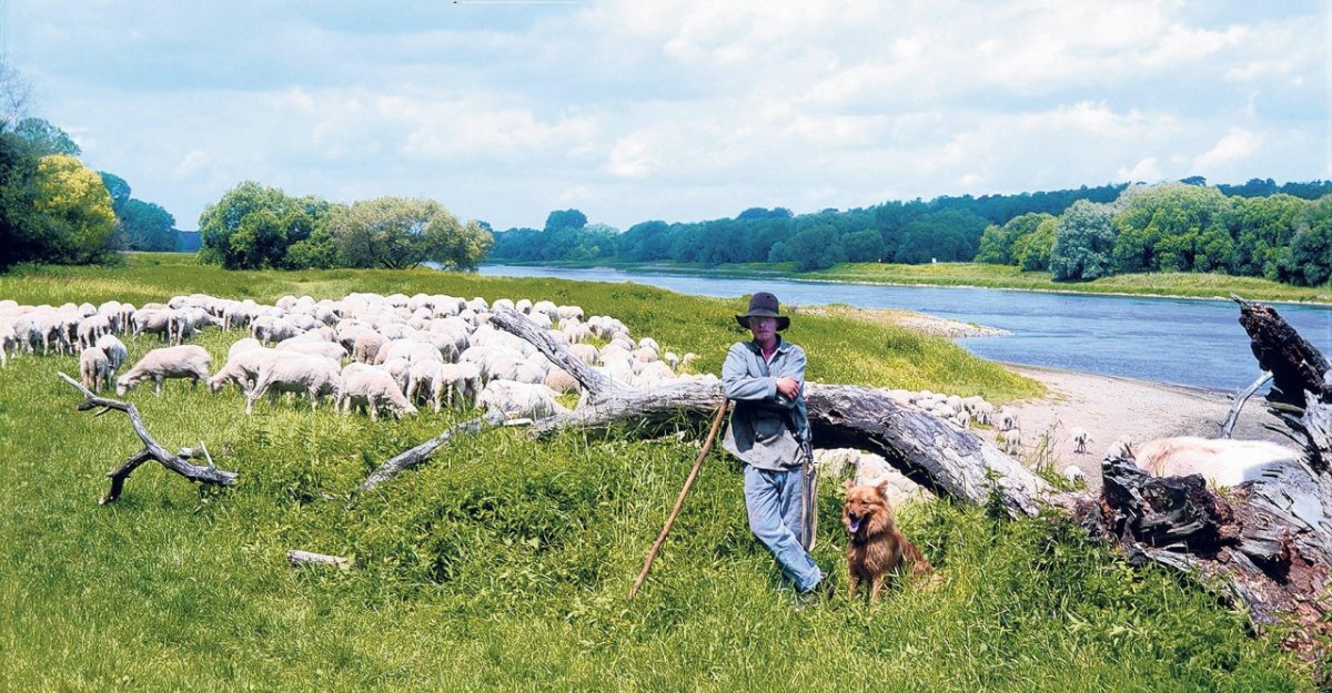 Biosphärenreservat Mittelelbe_online.jpg