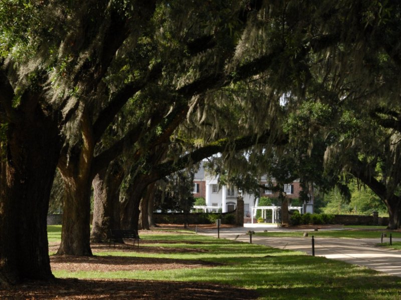 Boone Hall Plantation.jpg