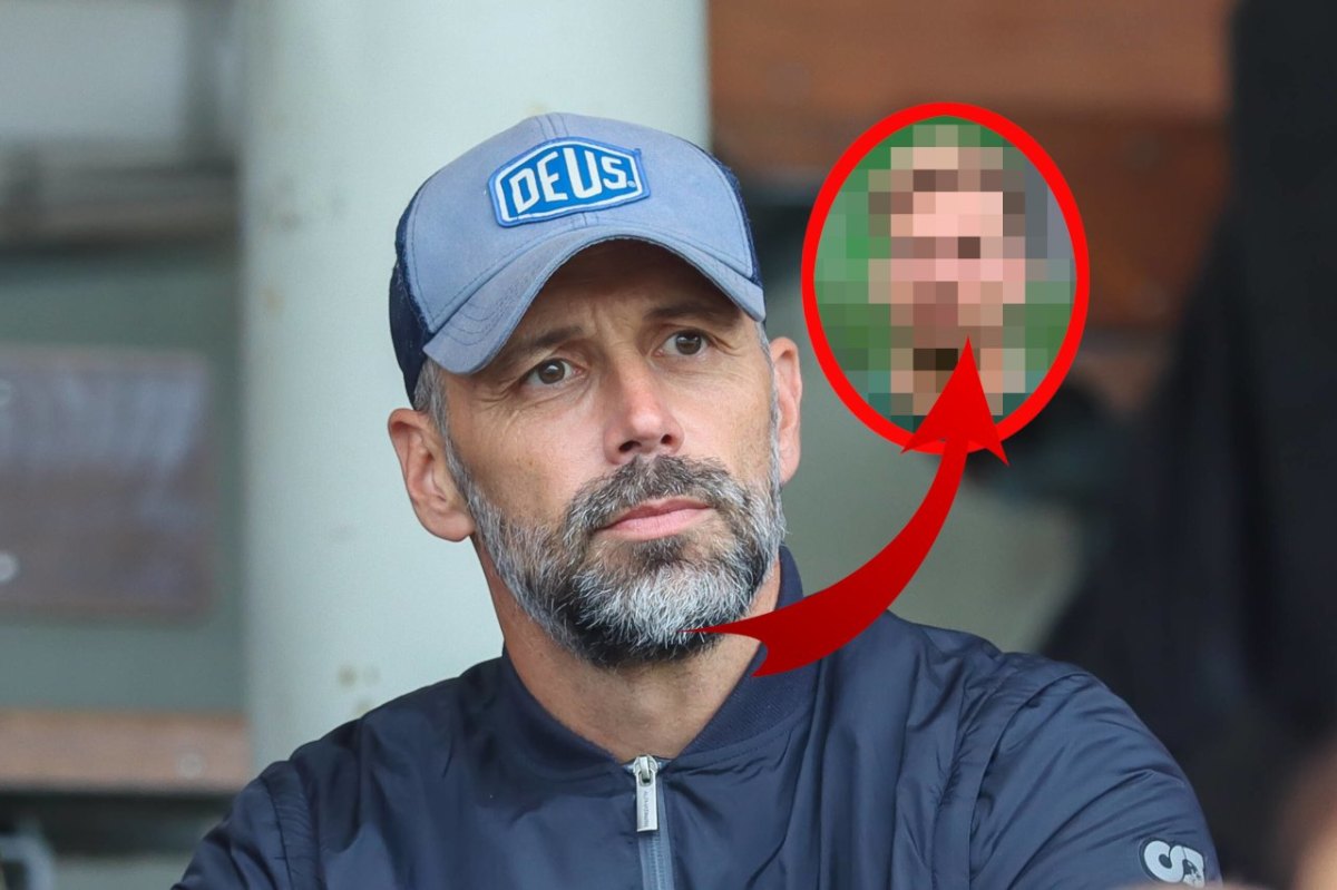 Borussia Dortmund Rose.jpg