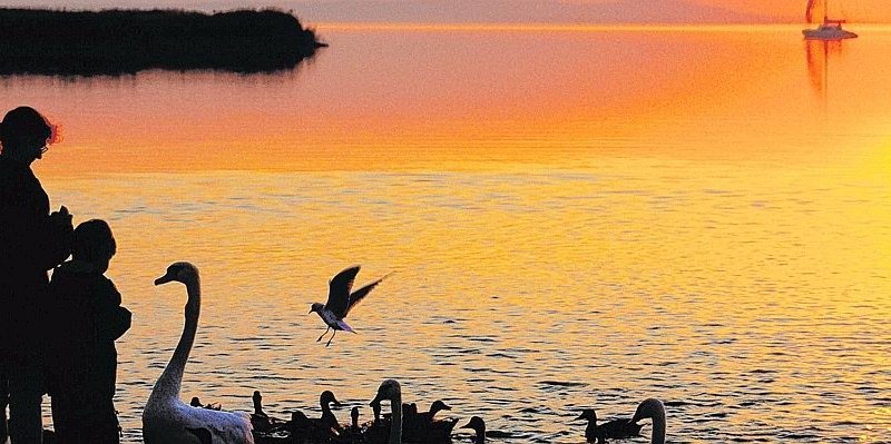 Burgenland Österreich.jpg