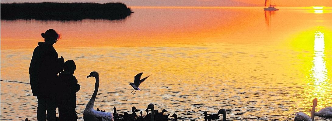 Burgenland Österreich.jpg