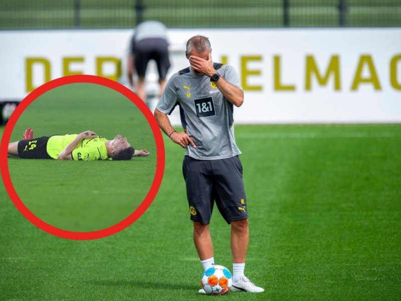 Bvb Meunier.jpg