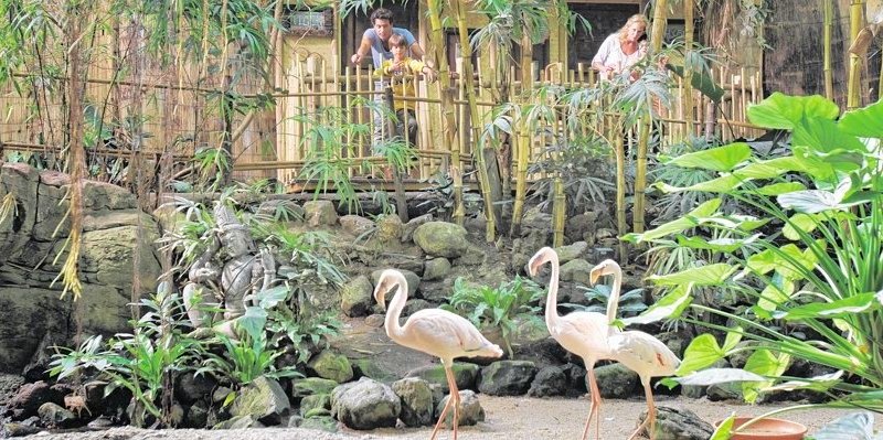 Center Parc Het Heijderbos.jpg