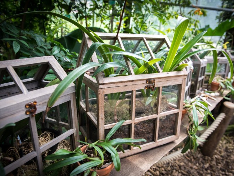 Dortmund Botanischer Garten.jpg