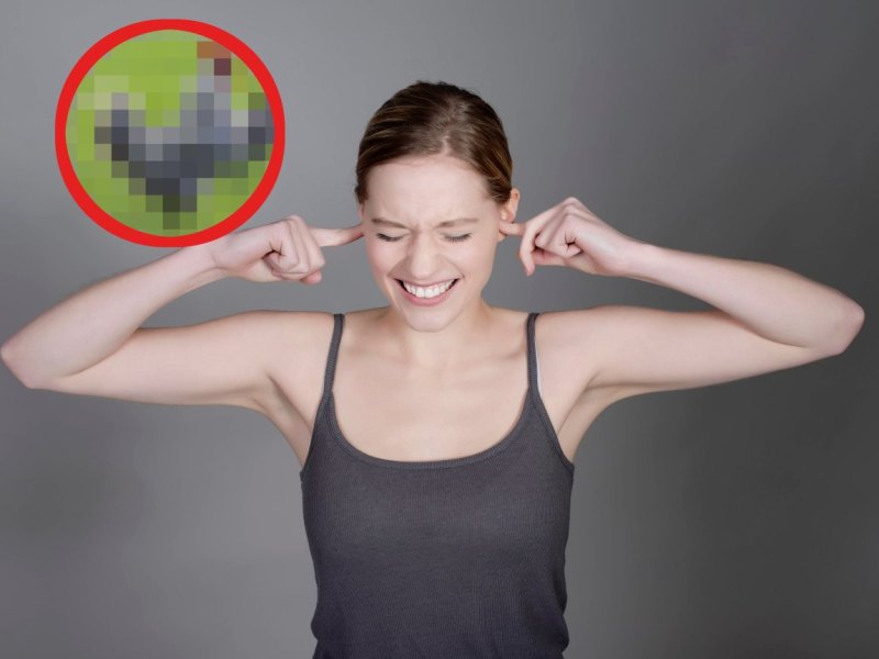 Dortmund: Daher kommt der Lärm.jpg