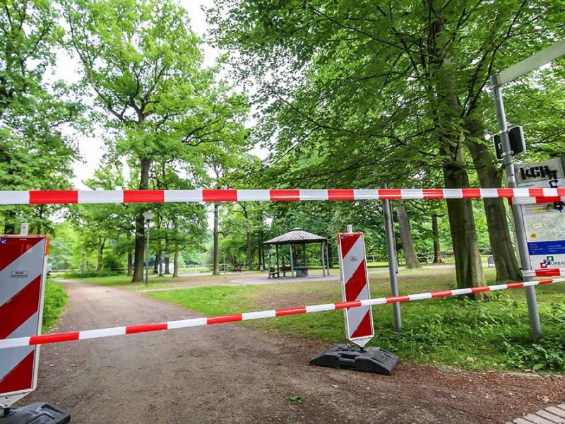 Dortmund-Fredenbaumpark-Eichenprozessionsspinner.jpg