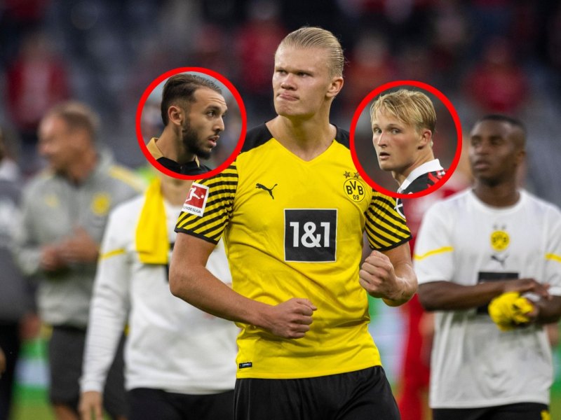 Erling Haaland BVB Nachfolger.jpg