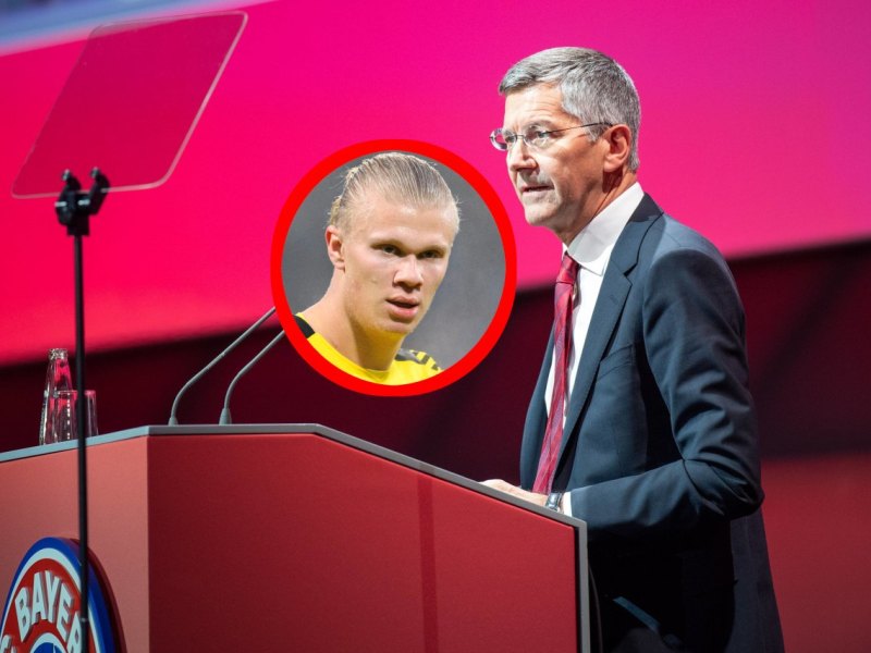 Erling Haaland Bayern münchen.jpg