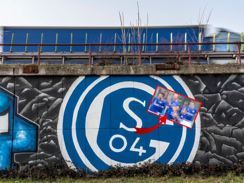 FC Schalke 04 .jpg