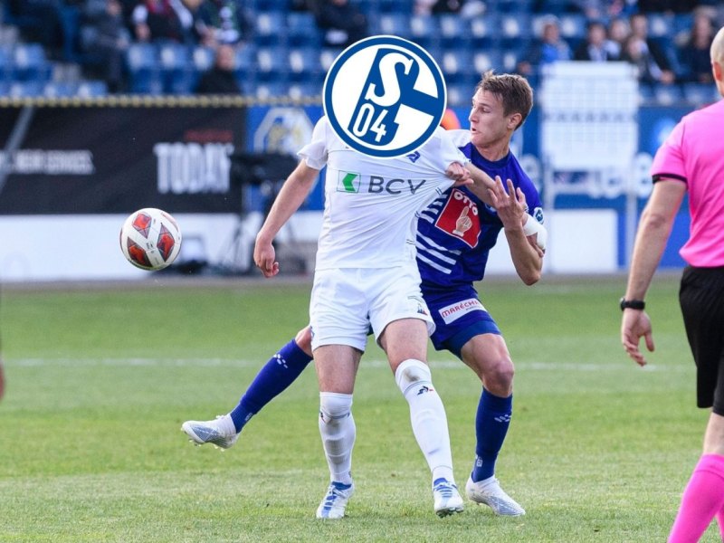 FC Schalke 04.jpg