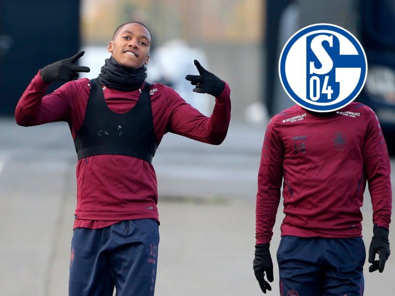 FC-Schalke-04