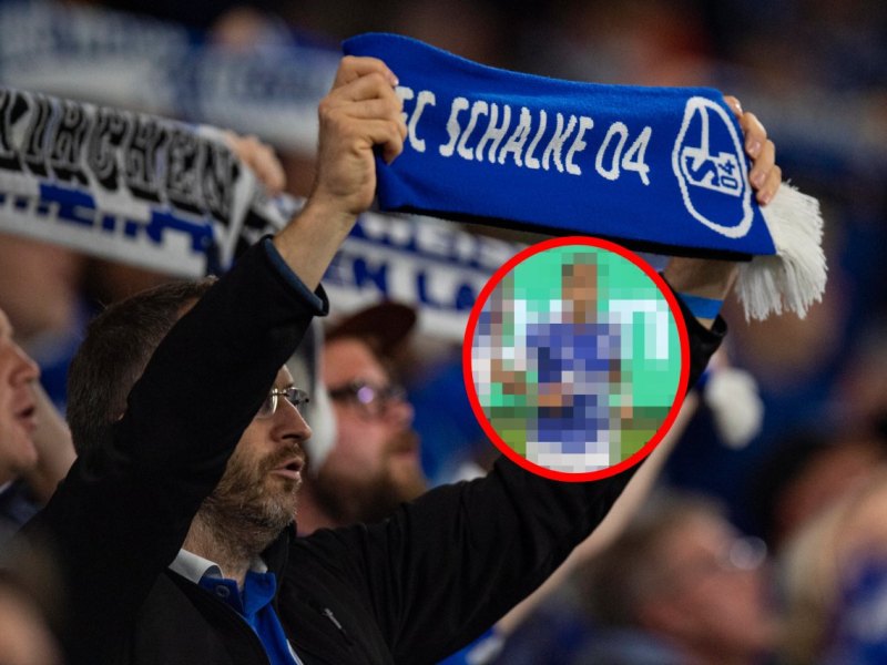 FC Schalke 04 Aufwärmshirt.jpg
