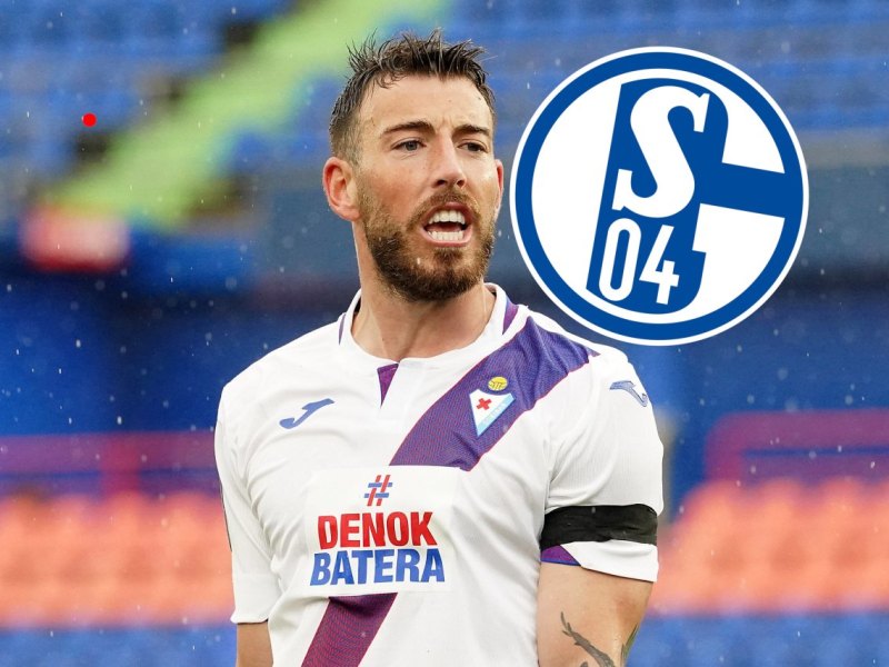 FC Schalke 04 Enrich.jpg