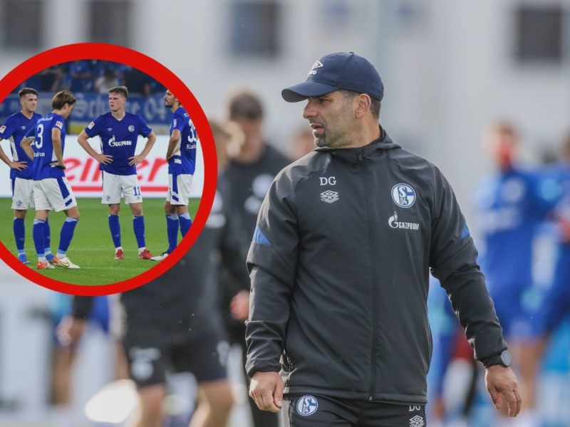 FC Schalke 04 Grammozis (1).jpg