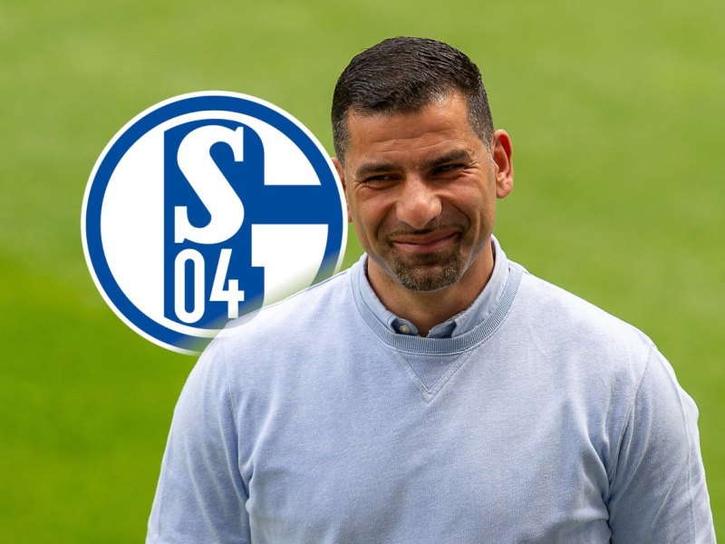 FC Schalke 04 Grammozis.jpg