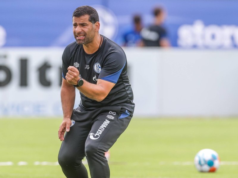 FC Schalke 04 Grammozis