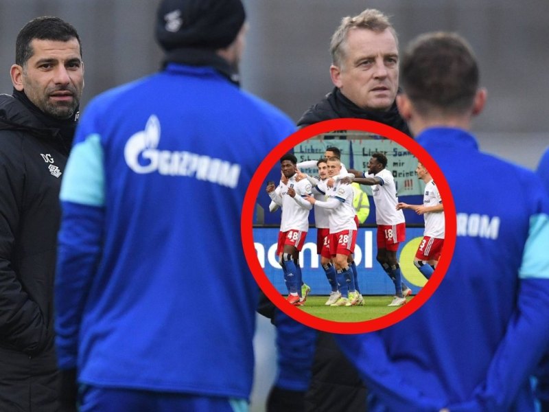 FC Schalke 04 Hamburger SV.jpg