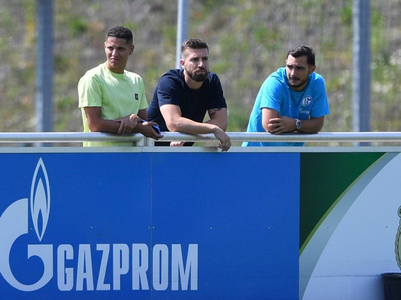 FC Schalke 04 Harit Nastasic