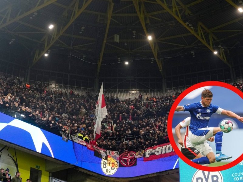 FC Schalke 04 Huntelaar.jpg