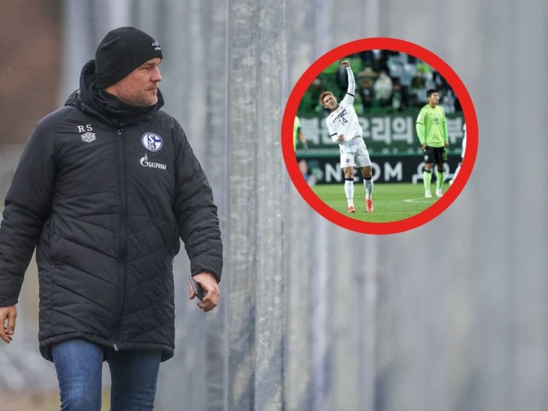 FC Schalke 04 Lee.jpg