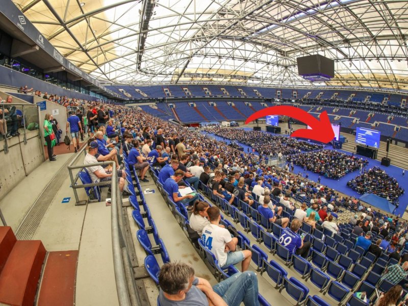 FC Schalke 04 MV.jpg