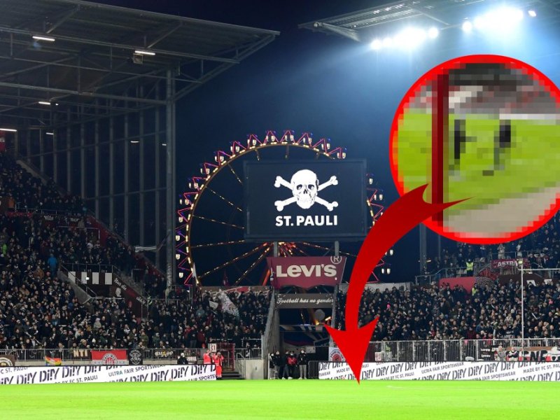 FC-Schalke-04-Maulwurf